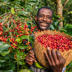 image of a happy farmer