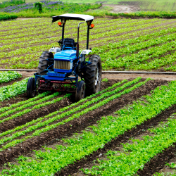 Agriculture land reform in Nigeria