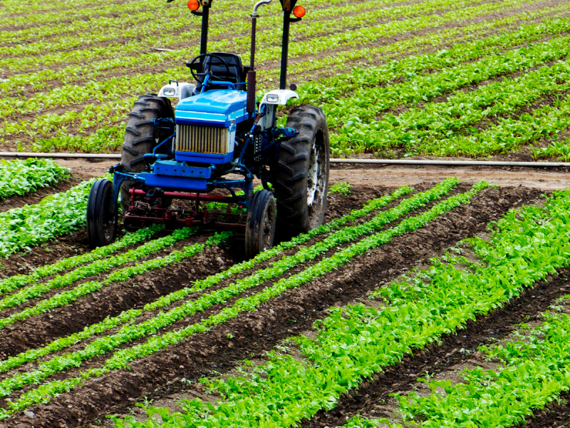 Agriculture land reform in Nigeria