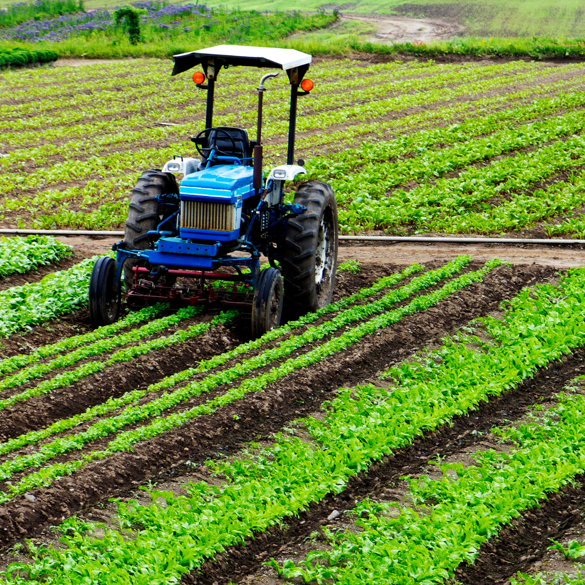 Agriculture land reform in Nigeria