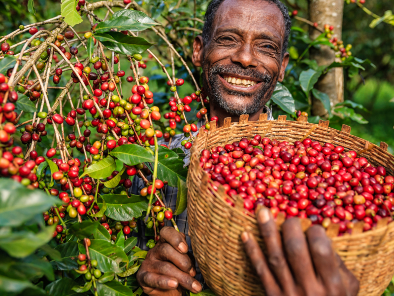 image of a happy farmer